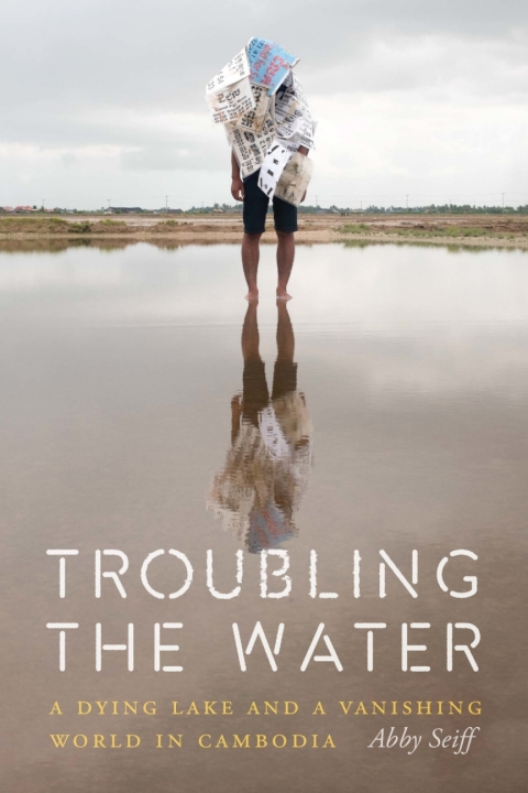 Cover image for book Troubling the Water