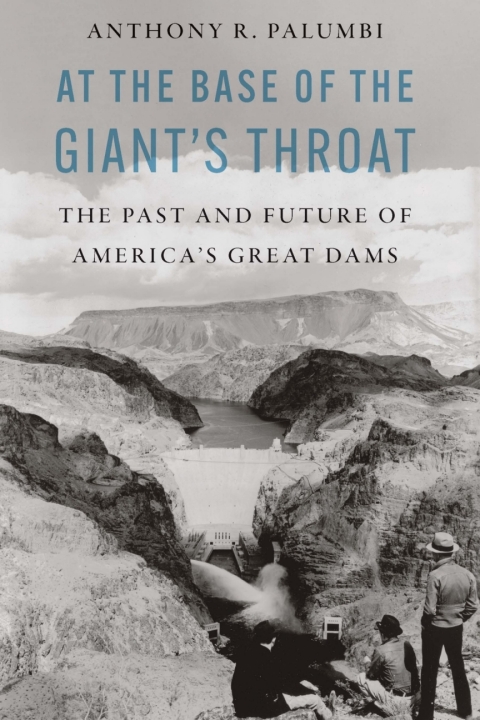 Cover image for book At the Base of the Giant's Throat