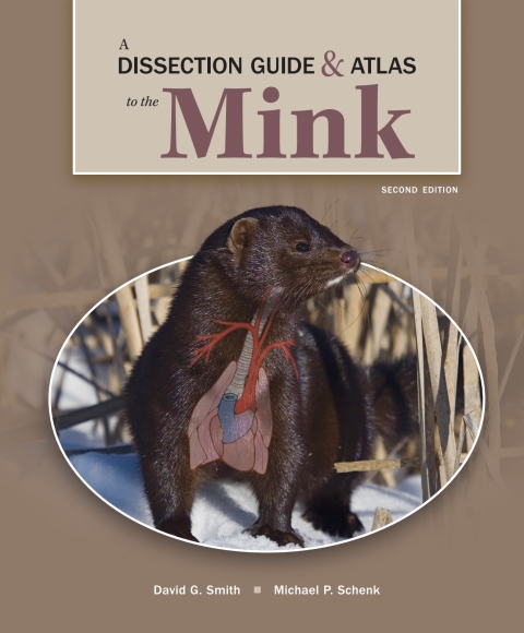 Cover image for book A Dissection Guide and Atlas to the Mink