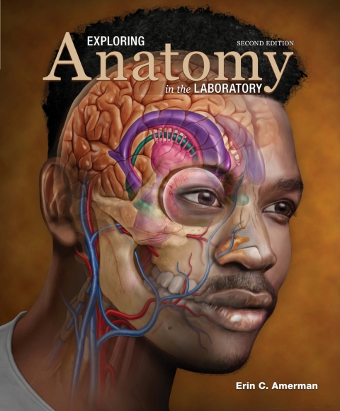 Cover image for book Exploring Anatomy in the Laboratory