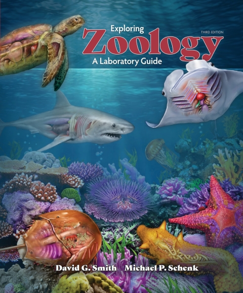 Cover image for book Exploring Zoology A Laboratory Guide