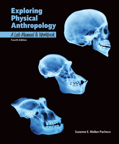 Cover image for book Exploring Physical Anthropology: Lab Manual and Workbook