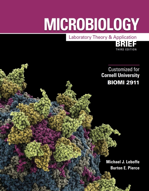 Cover image for book Custom: Ebook: Cornell Univ MLTAb3