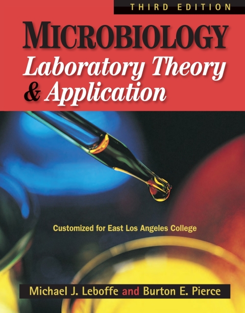 Cover image for book Custom: Ebook: East Los Angeles Clg MLTA3