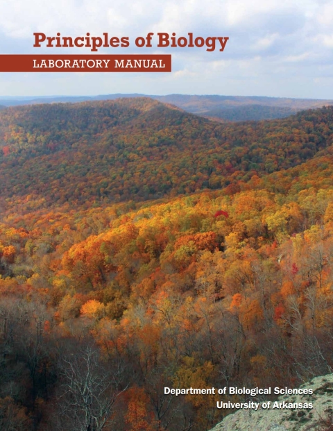 Cover image for book Custom: Ebook: Univ of AR Gen Bio LM REV