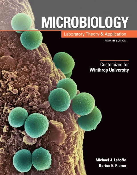 Cover image for book Custom: Ebook: Winthrop Univ MLTA4