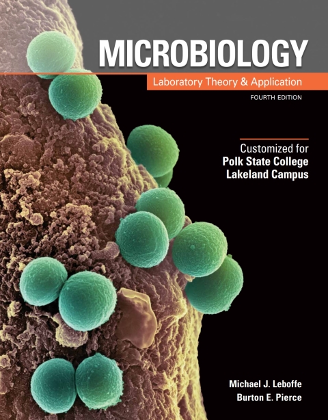 Cover image for book Custom: Ebook: Polk St Clg Lakeland MLTA4