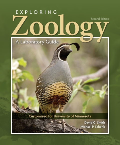 Cover image for book Custom: Ebook: Univ of MN EZL2