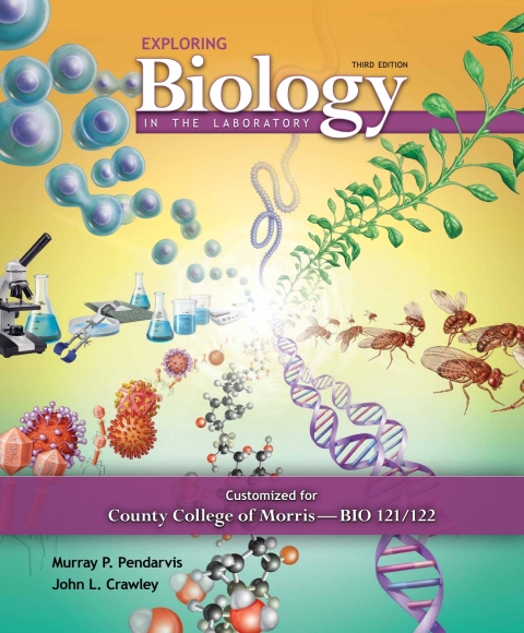 Cover image for book Custom: Ebook: Cnty Clg Morris EBL3 122