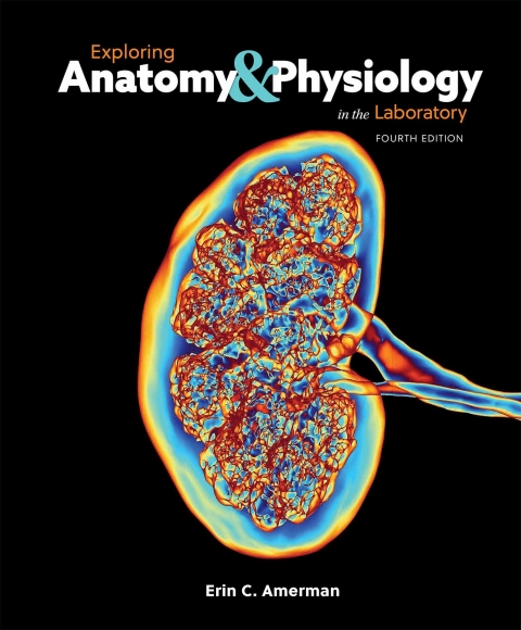 Cover image for book Exploring Anatomy & Physiology in the Laboratory