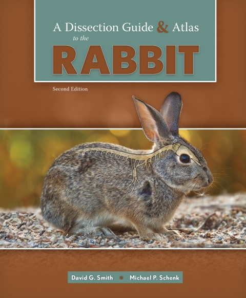 Cover image for book A Dissection Guide and Atlas to the Rabbit