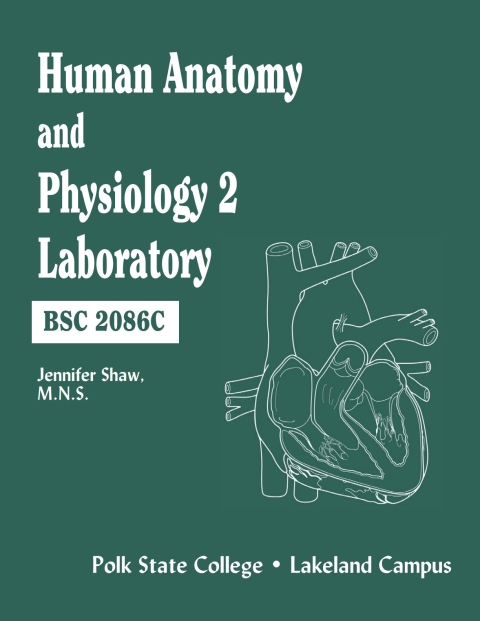 Cover image for book Custom: Ebook: Polk St BIO 2086 A&P LM REV