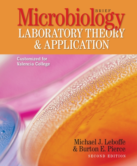 Cover image for book Custom: Ebook: Valencia Clg MLTAb2