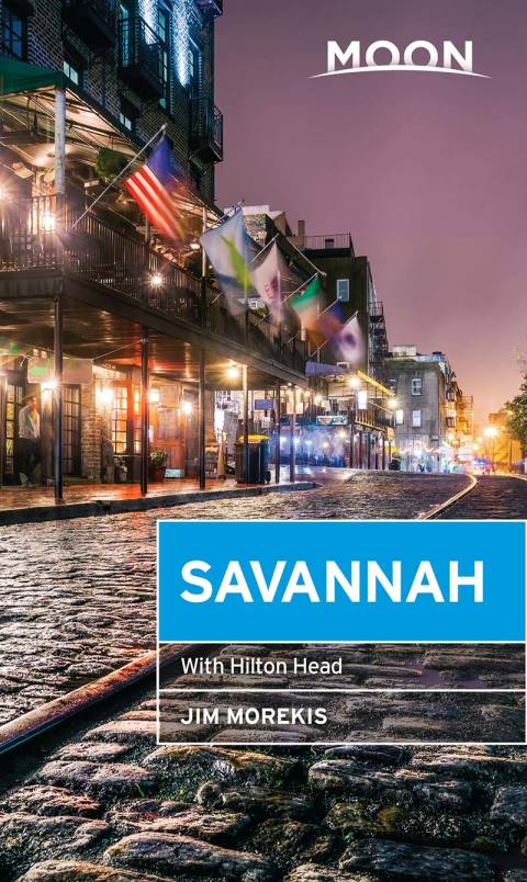 Cover image for book Moon Savannah