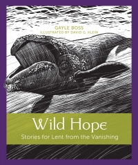 Cover image: Wild Hope 9781640601994