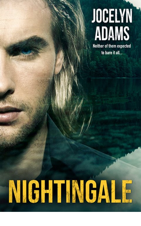 Cover image for book Nightingale