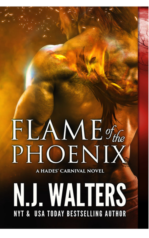 Cover image for book Flame of the Phoenix