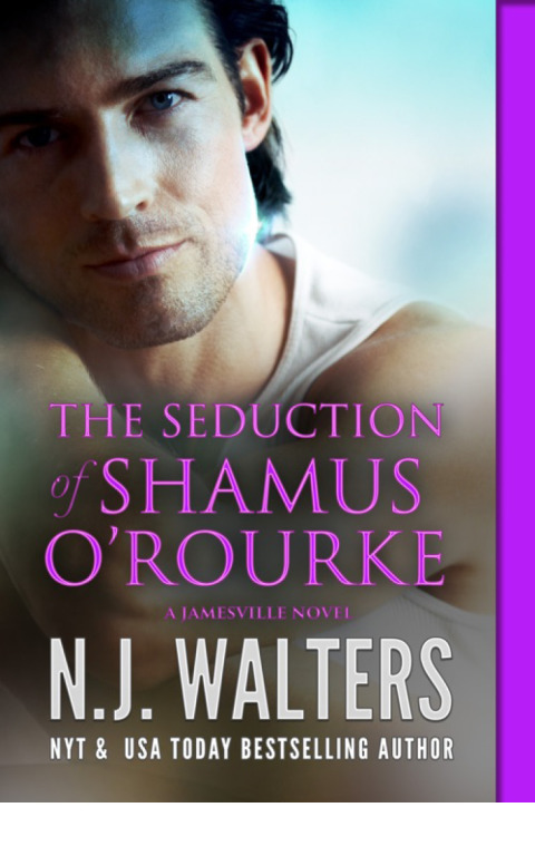 Cover image for book The Seduction of Shamus  O’Rourke