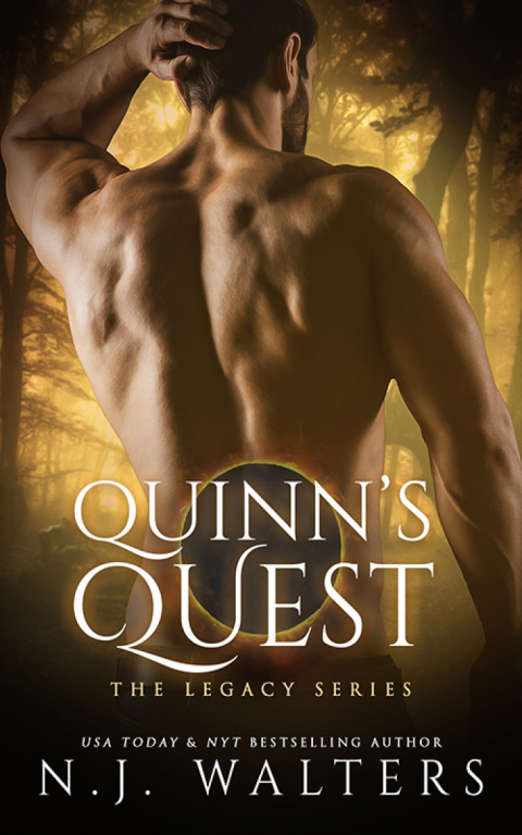 Cover image for book Quinn’s Quest