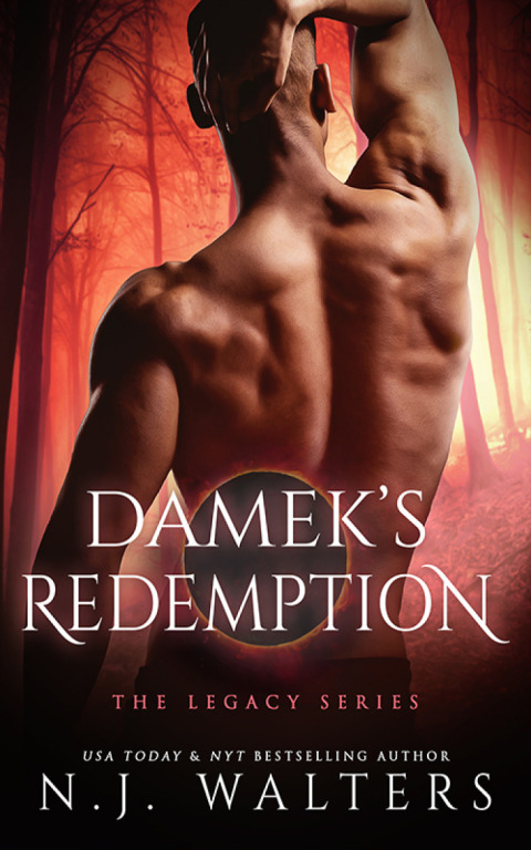 Cover image for book Damek’s Redemption