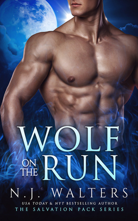 Cover image for book Wolf on the Run