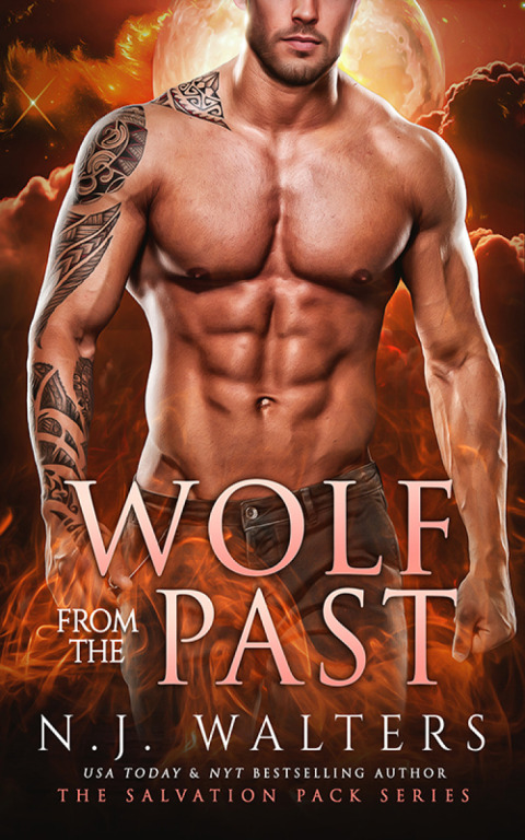 Cover image for book Wolf from the Past