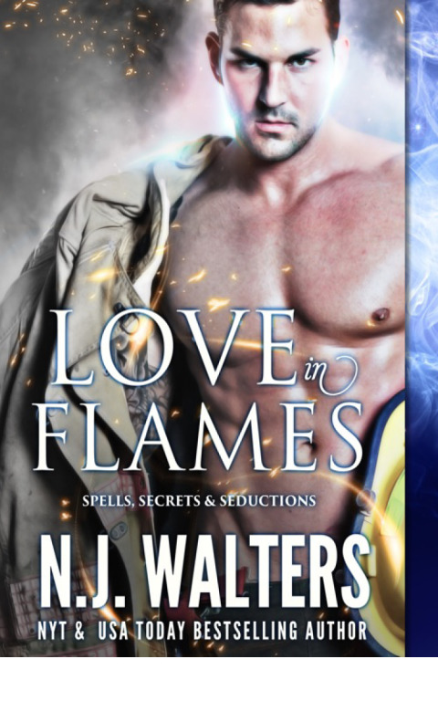 Cover image for book Love in Flames