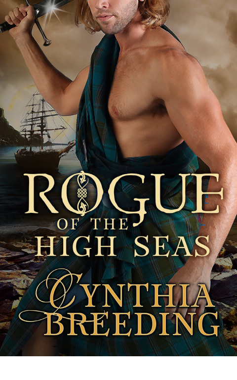 Cover image for book Rogue of the High Seas
