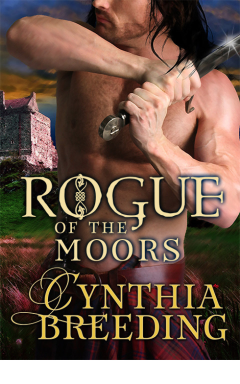 Cover image for book Rogue of the Moors