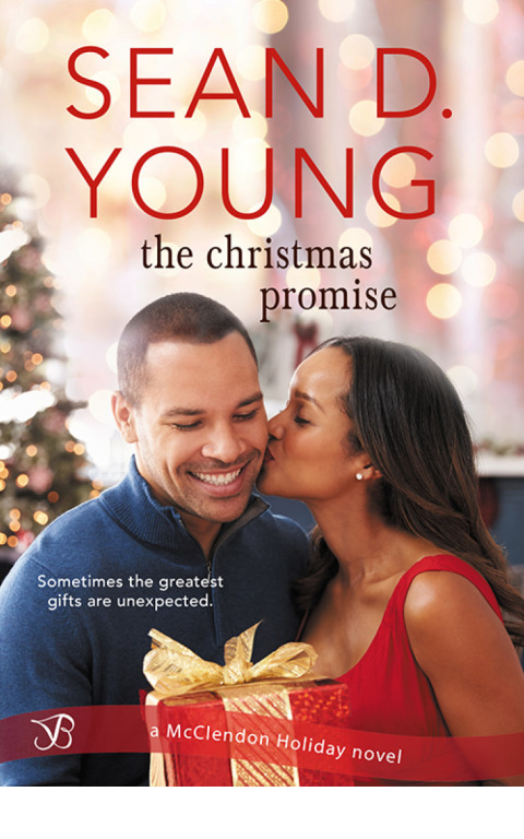 Cover image for book The Christmas Promise
