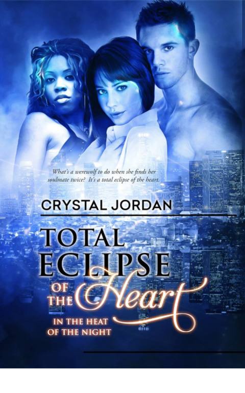 Cover image for book Total Eclipse of the Heart