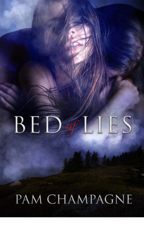 Cover image for book Bed of Lies