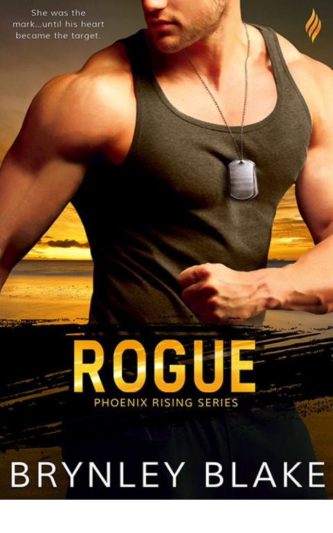 Cover image for book Rogue