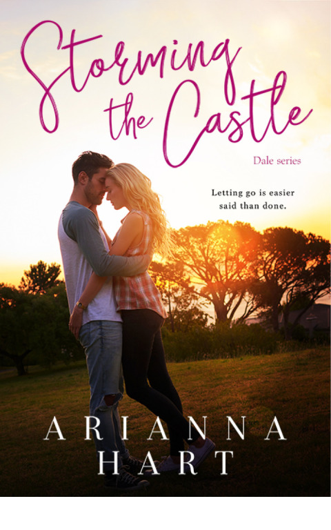 Cover image for book Storming the Castle