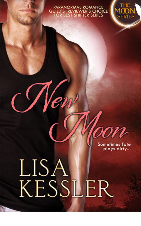 Cover image for book New Moon