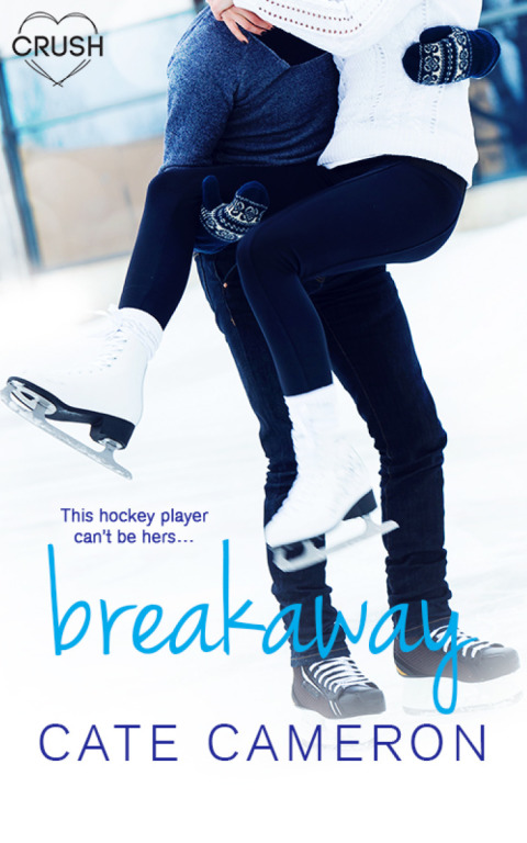 Cover image for book Breakaway