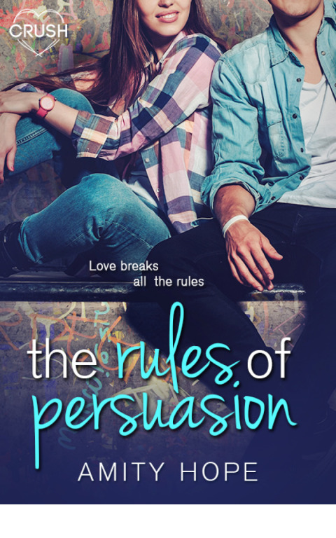 Cover image for book The Rules of Persuasion