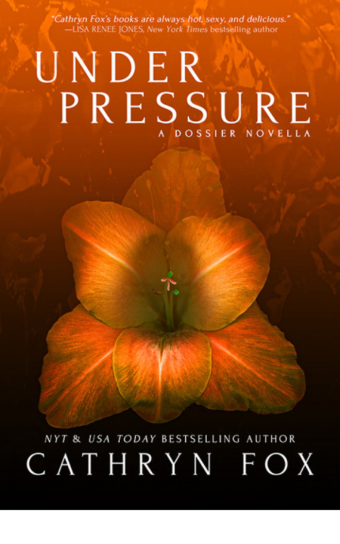 Cover image for book Under Pressure