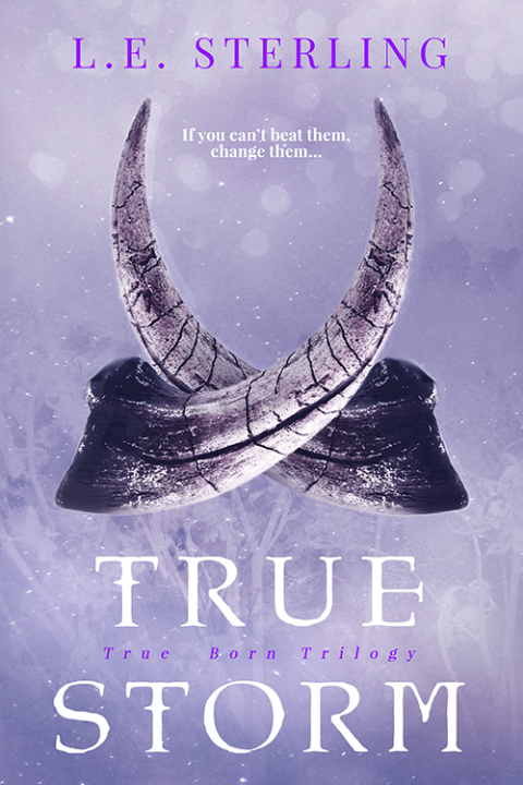 Cover image for book True Storm