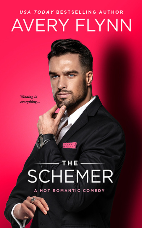 Cover image for book The Schemer (A Hot Romantic Comedy)