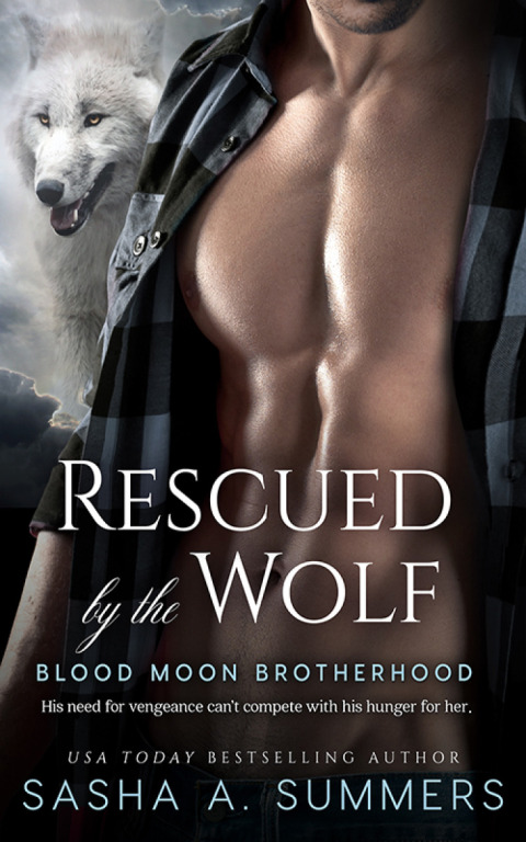 Cover image for book Rescued by the Wolf