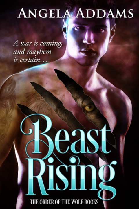 Cover image for book Beast Rising