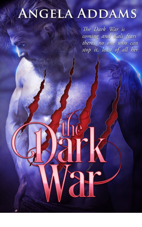 Cover image for book The Dark War