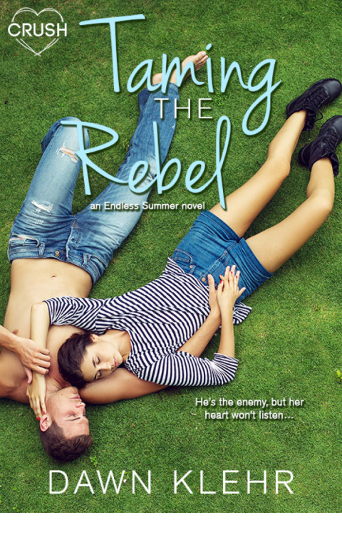 Cover image for book Taming the Rebel