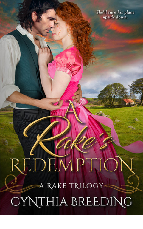 Cover image for book A Rake's Redemption