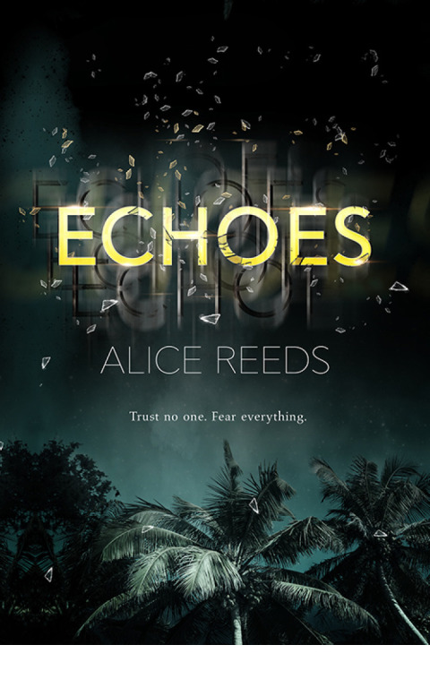 Cover image for book Echoes