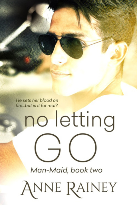 Cover image for book No Letting Go