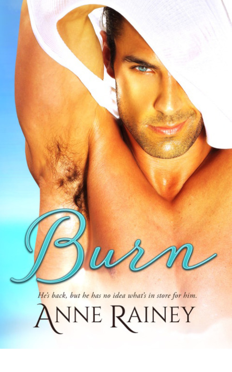 Cover image for book Burn