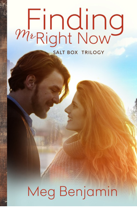 Cover image for book Finding Mr. Right Now