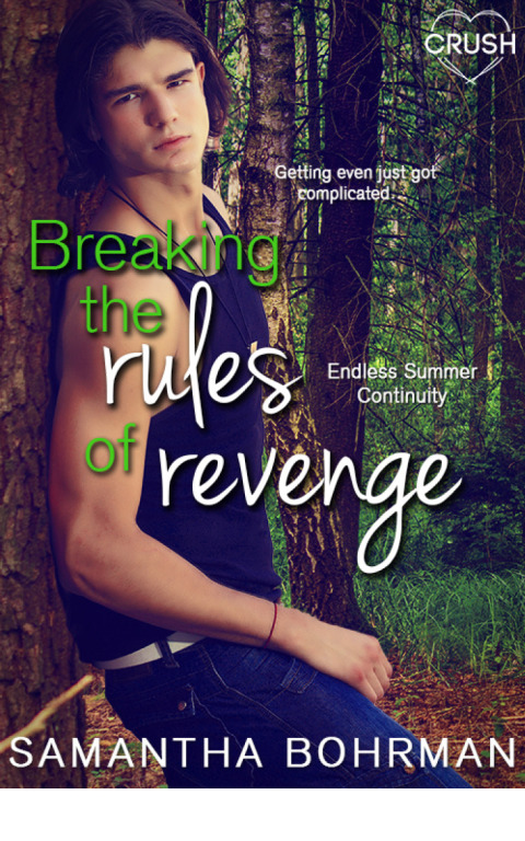 Cover image for book Breaking the Rules of Revenge